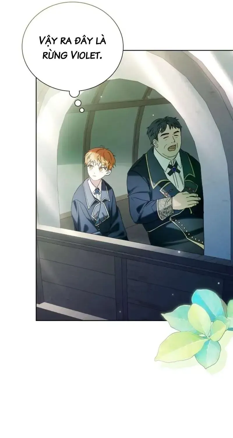 doan-truong-ky-si-cua-nam-phu-14