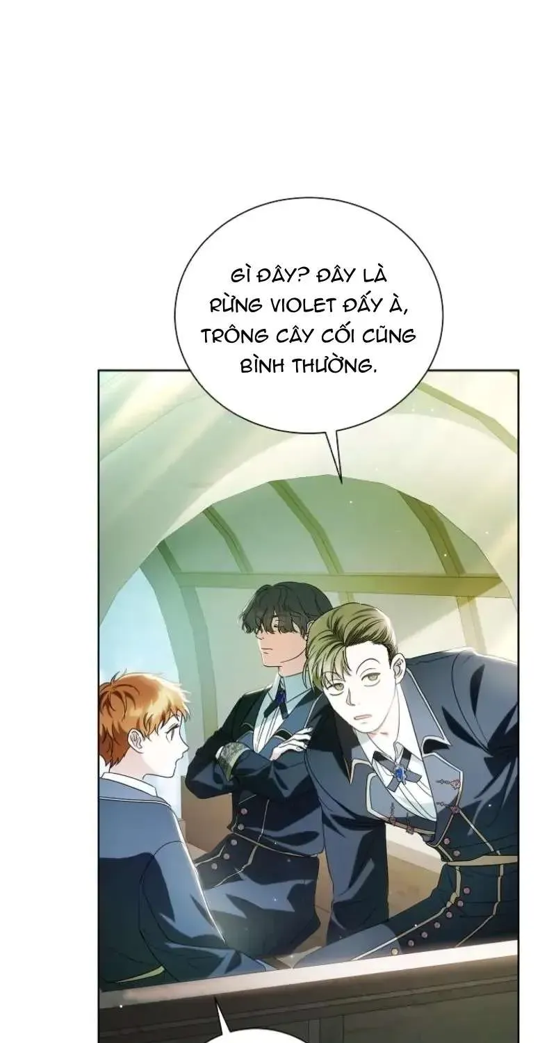 doan-truong-ky-si-cua-nam-phu-15