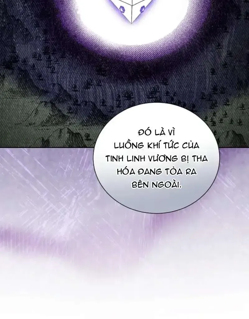 doan-truong-ky-si-cua-nam-phu-17