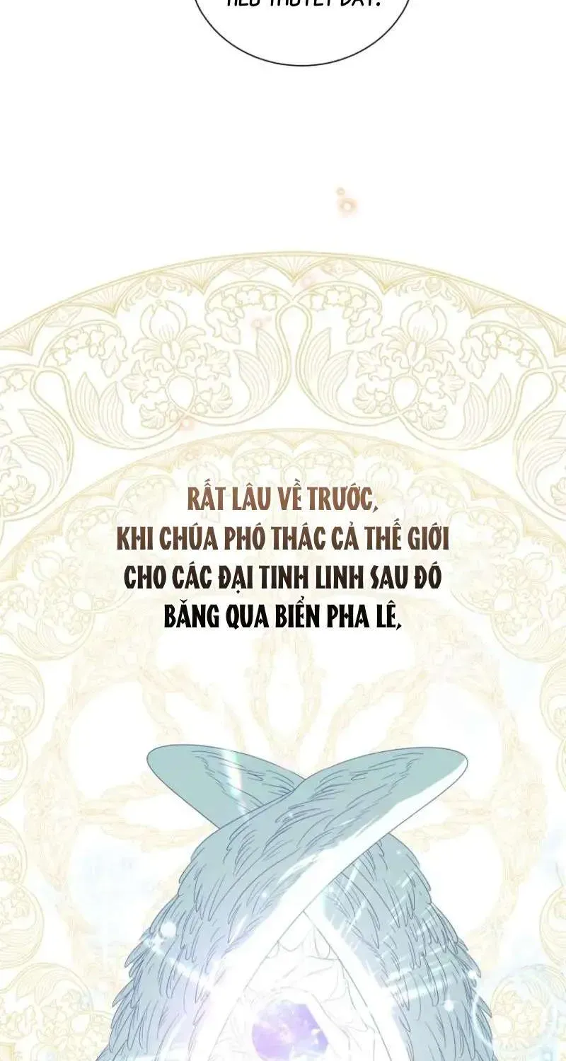 doan-truong-ky-si-cua-nam-phu-19