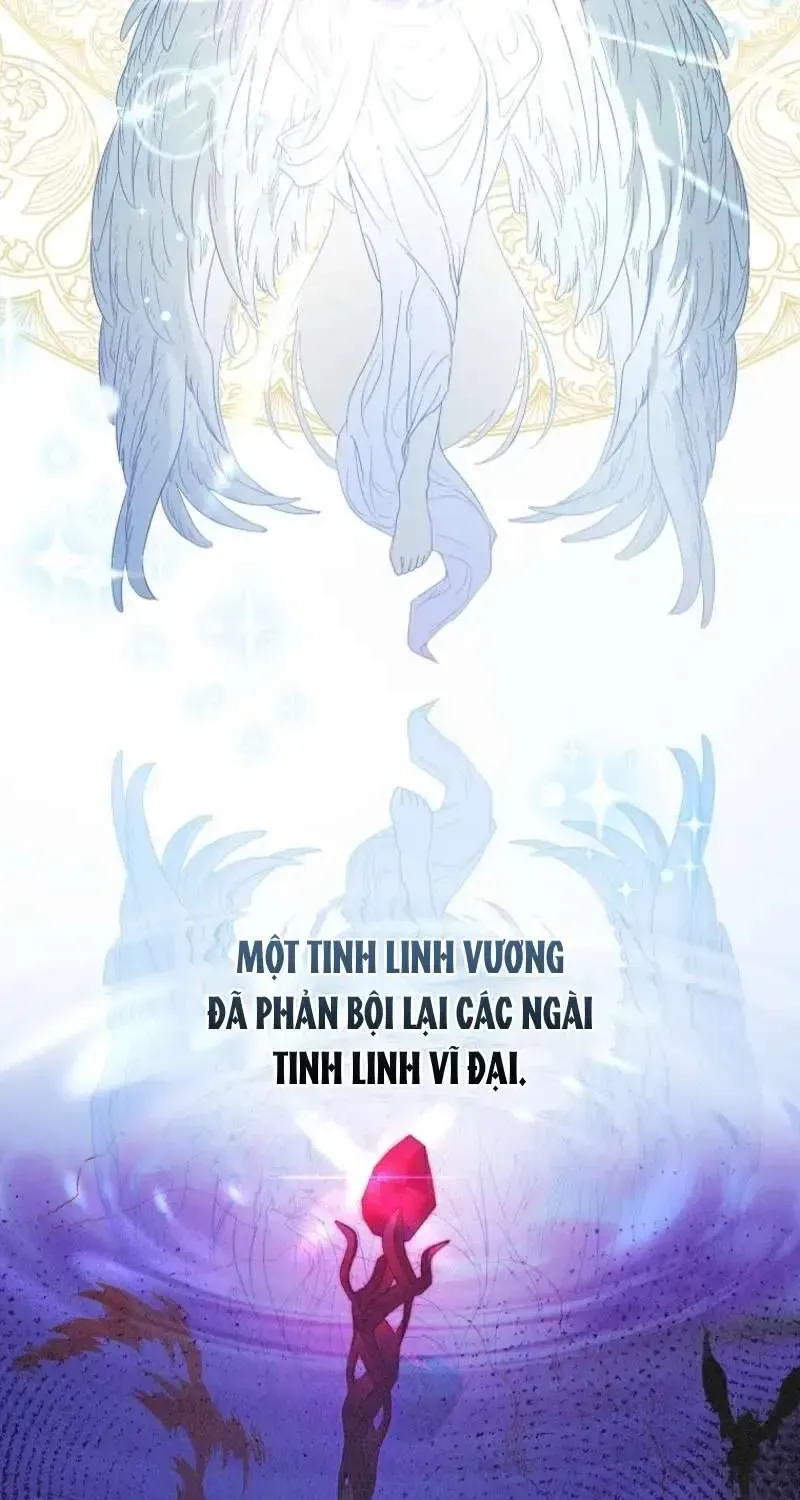 doan-truong-ky-si-cua-nam-phu-20