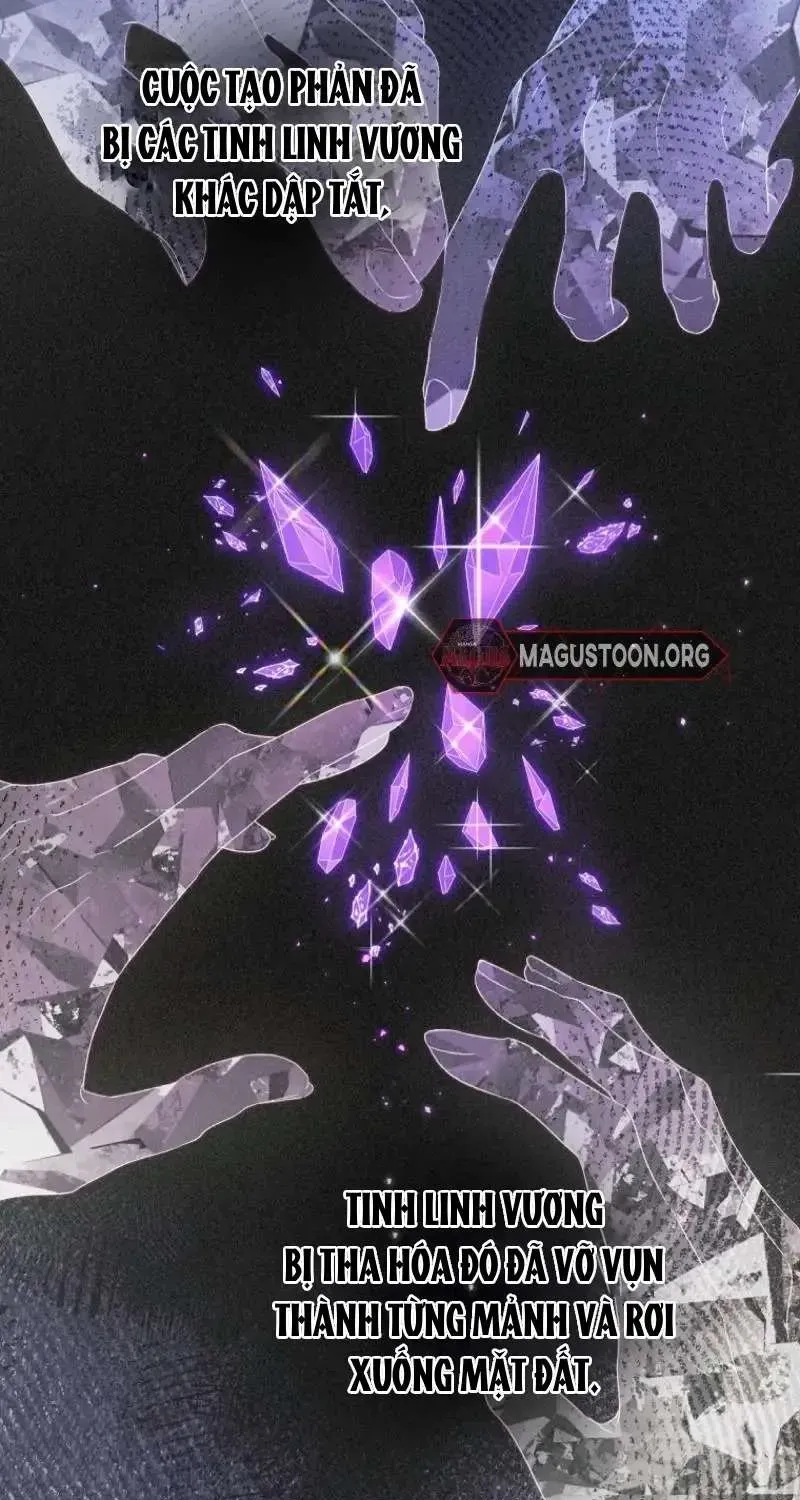 doan-truong-ky-si-cua-nam-phu-22