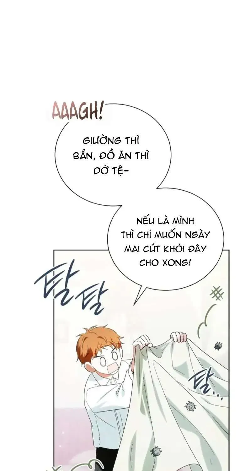 doan-truong-ky-si-cua-nam-phu-63