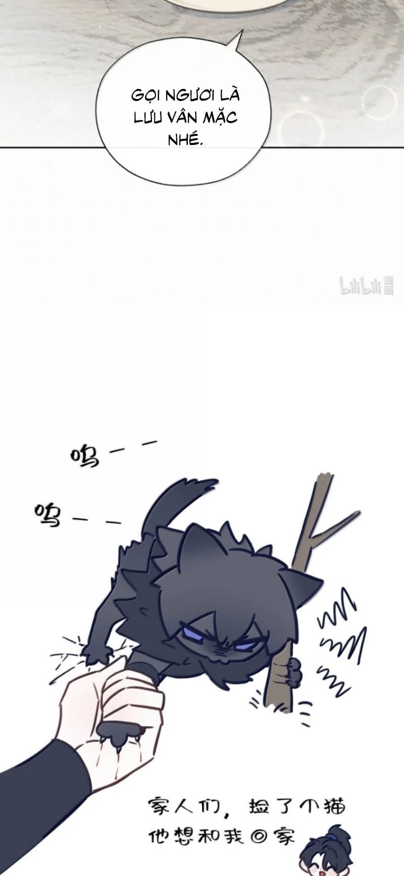 Hôm Nay Điện Hạ Bị Ám Sát Rồi À?