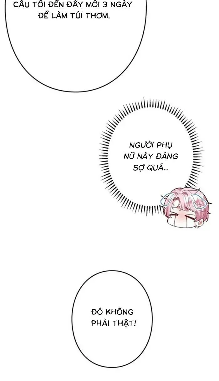 me-don-than-va-noi-am-anh-cua-thai-tu-4