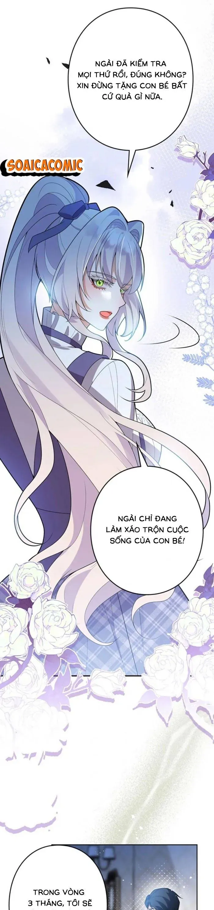 me-don-than-va-noi-am-anh-cua-thai-tu-21