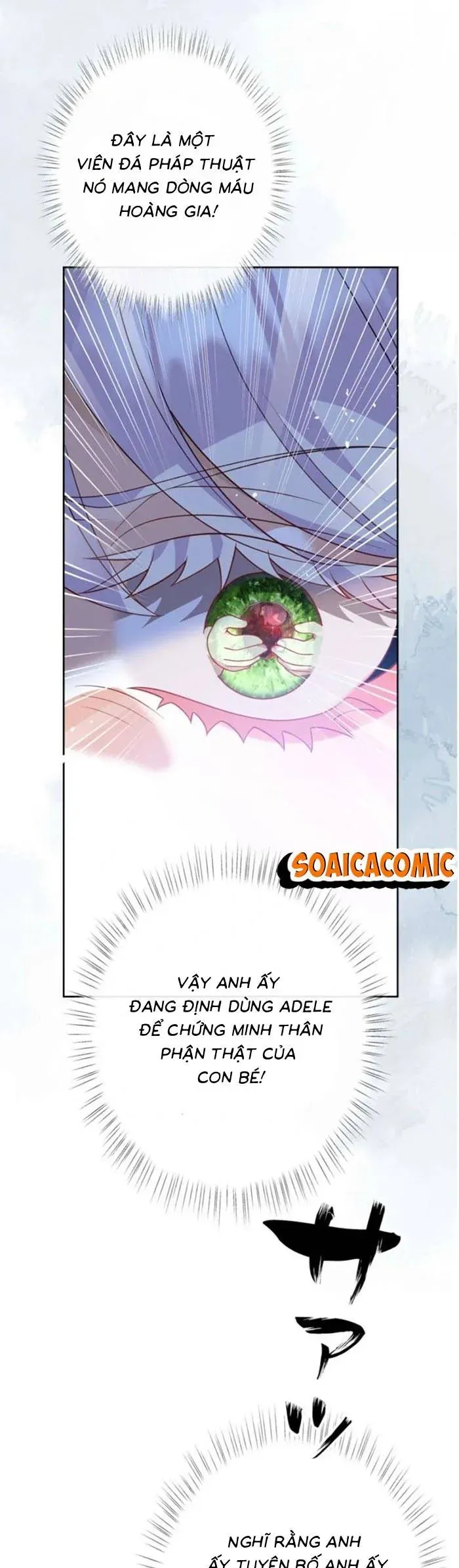 me-don-than-va-noi-am-anh-cua-thai-tu-5