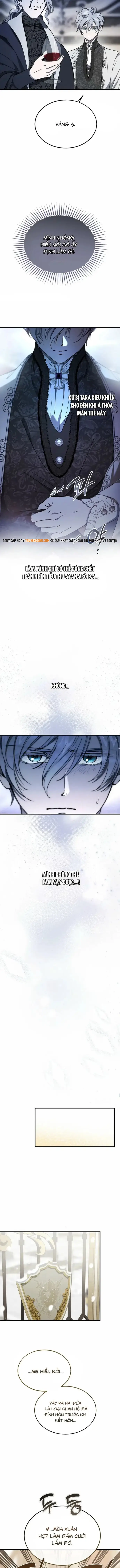 ban-an-cua-quy-toc-suy-vong-3