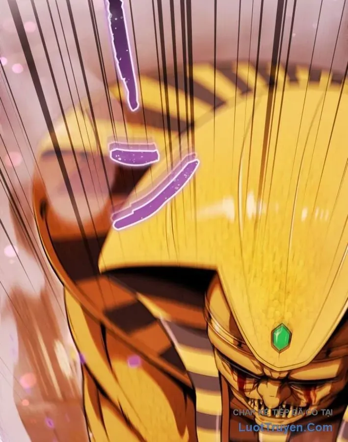 ham-nguc-ngon-lanh-4