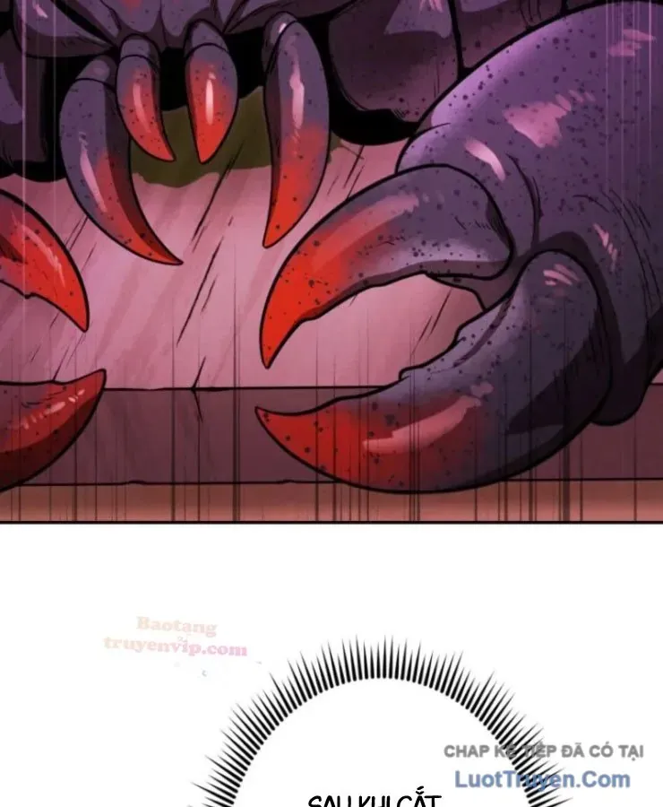 ham-nguc-ngon-lanh-82