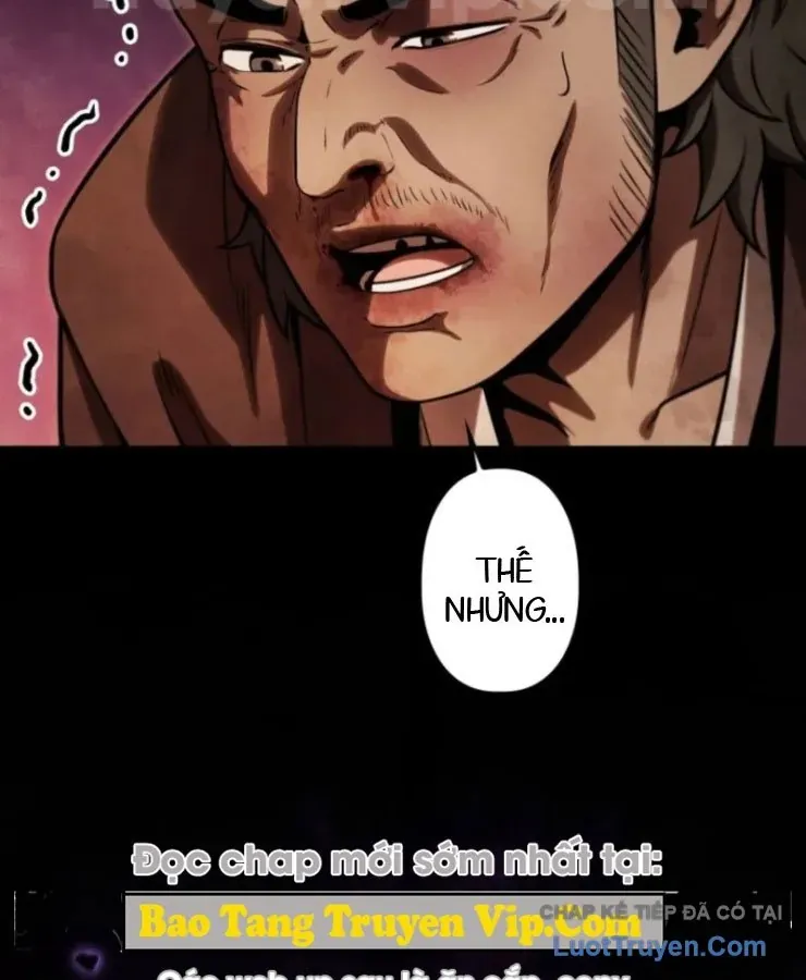 ham-nguc-ngon-lanh-8