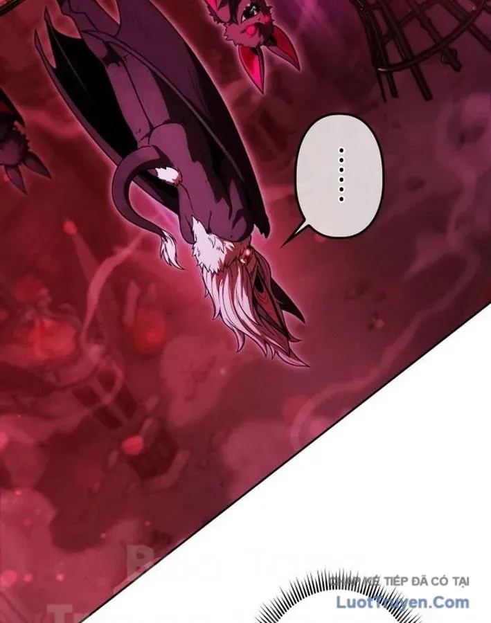 ham-nguc-ngon-lanh-25