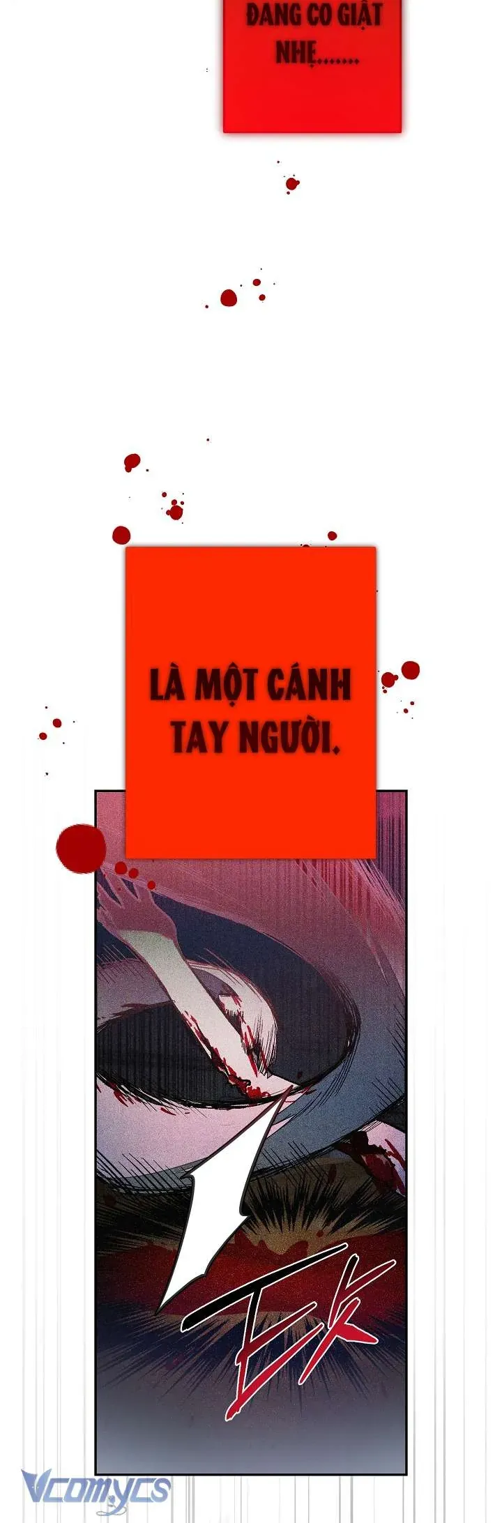 chao-mung-den-voi-dinh-thu-hoa-hong-15