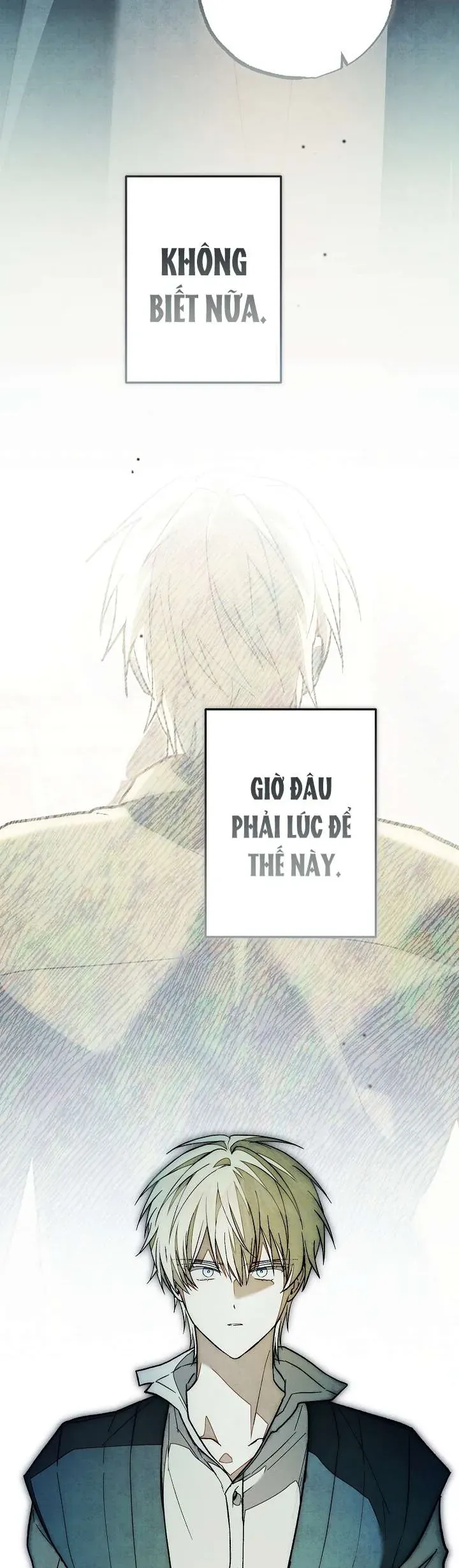 chao-mung-den-voi-dinh-thu-hoa-hong-30