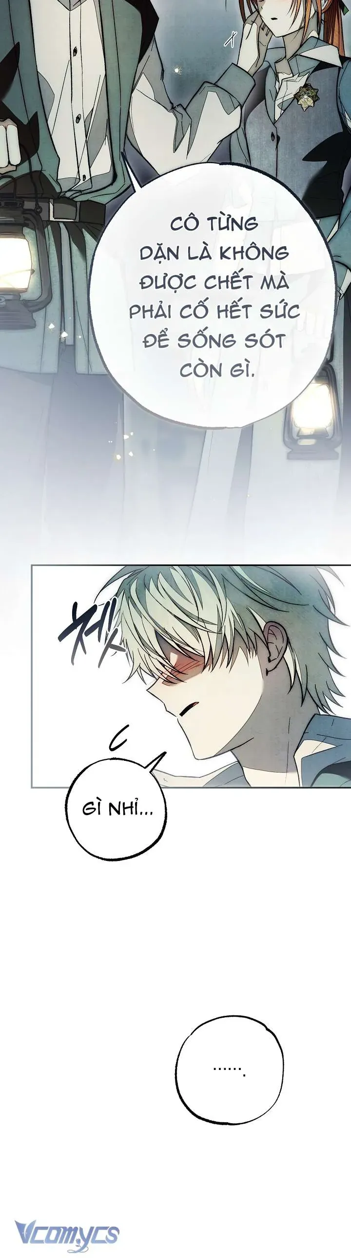 chao-mung-den-voi-dinh-thu-hoa-hong-33