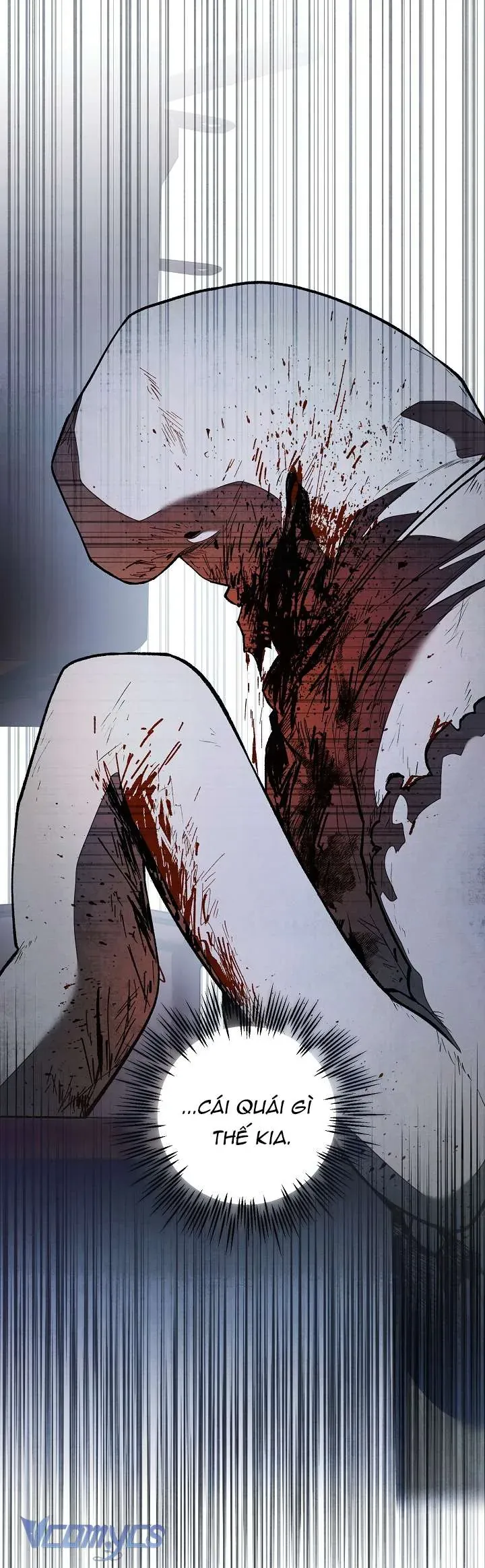 chao-mung-den-voi-dinh-thu-hoa-hong-41