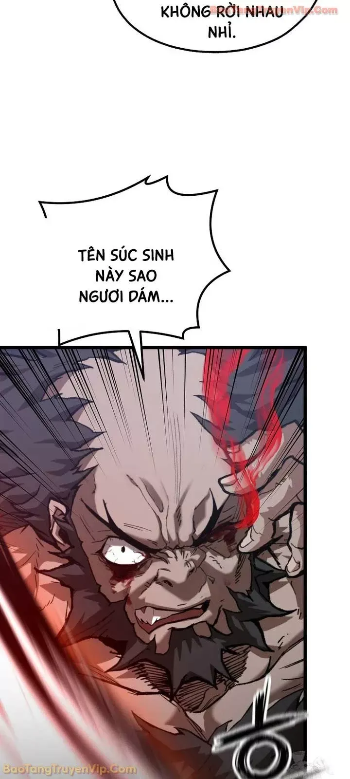 thuong-quy-vo-song-62