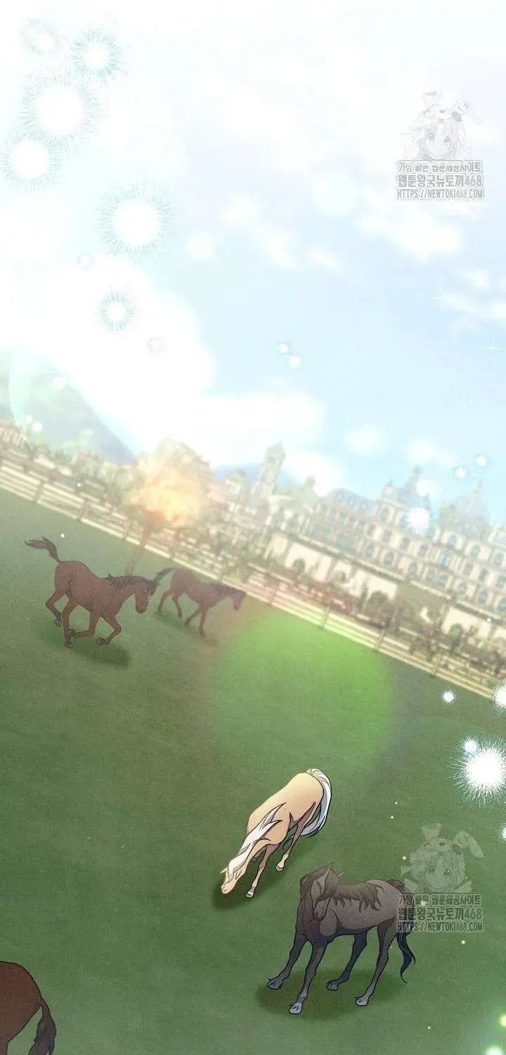 noi-am-anh-danh-cho-cong-tuoc-phu-nhan-37