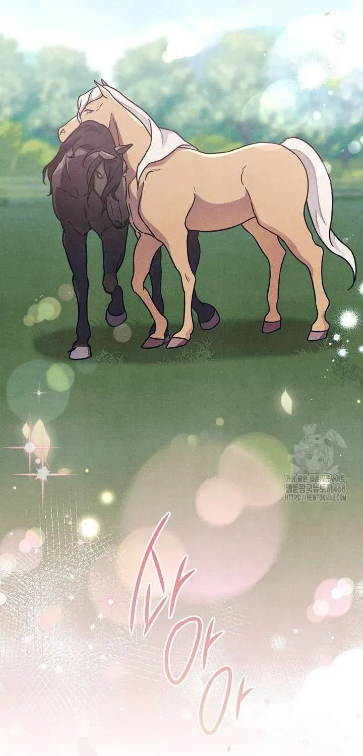 noi-am-anh-danh-cho-cong-tuoc-phu-nhan-67