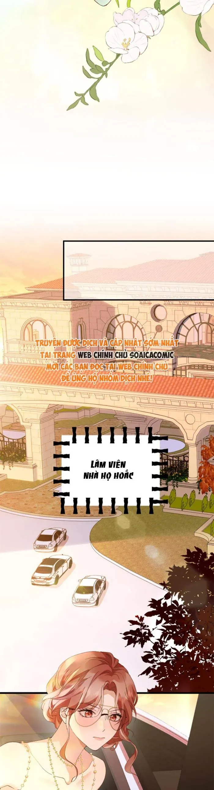 gia-mu-tro-ve-toi-xe-nat-hoac-gia-15