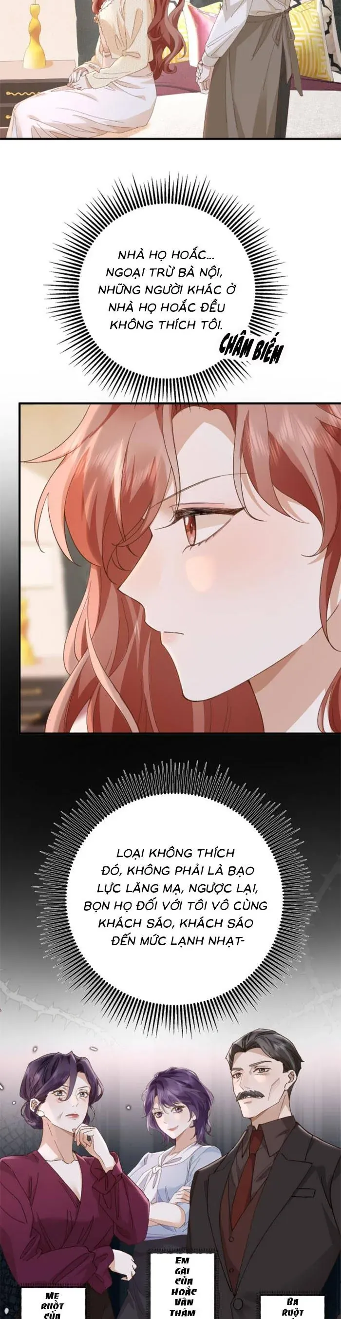 gia-mu-tro-ve-toi-xe-nat-hoac-gia-9