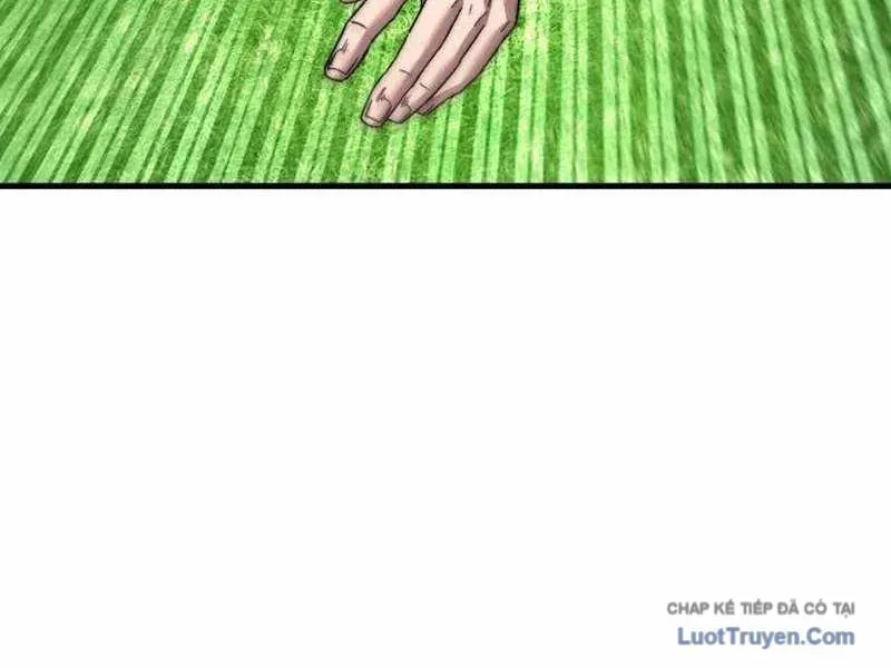 duong-chuyen-dac-biet-cua-tien-ve-thien-tai-250