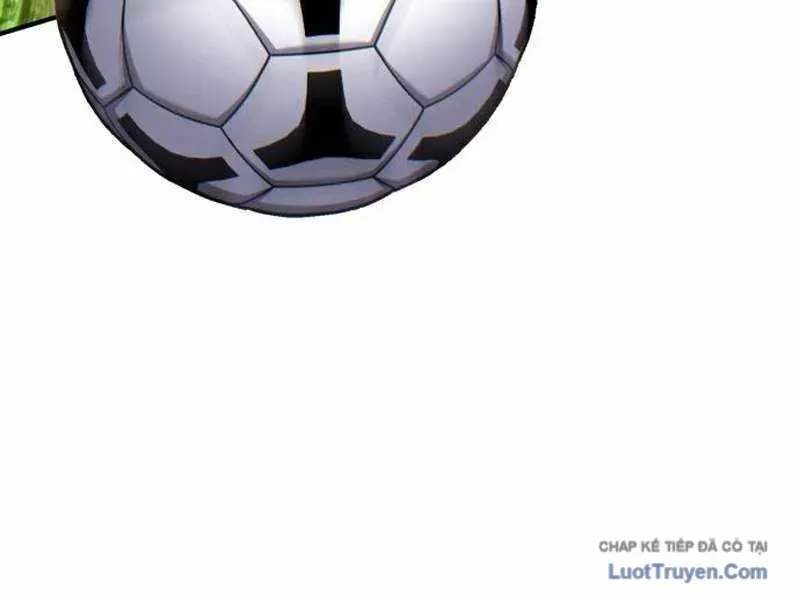 duong-chuyen-dac-biet-cua-tien-ve-thien-tai-272