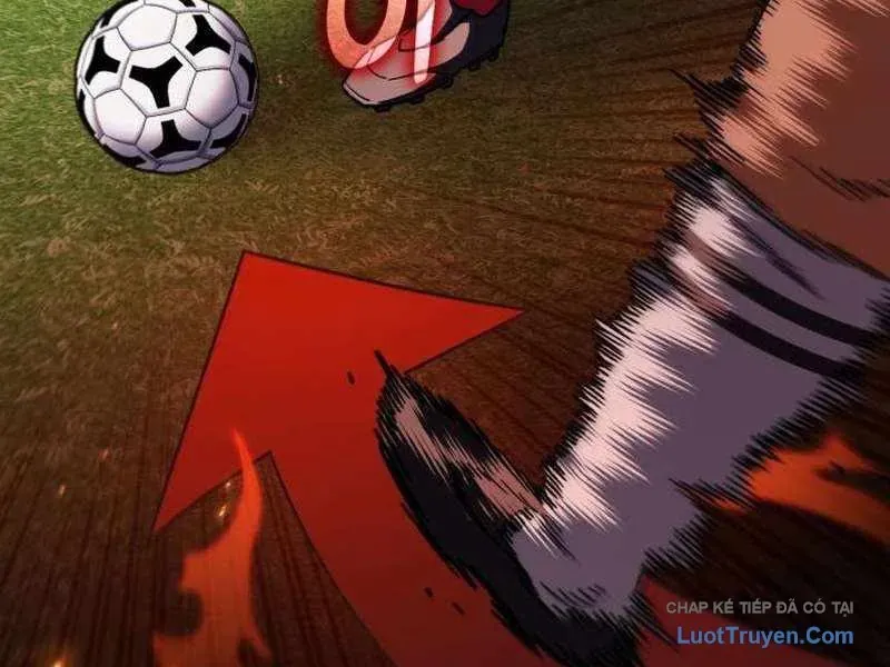 duong-chuyen-dac-biet-cua-tien-ve-thien-tai-98