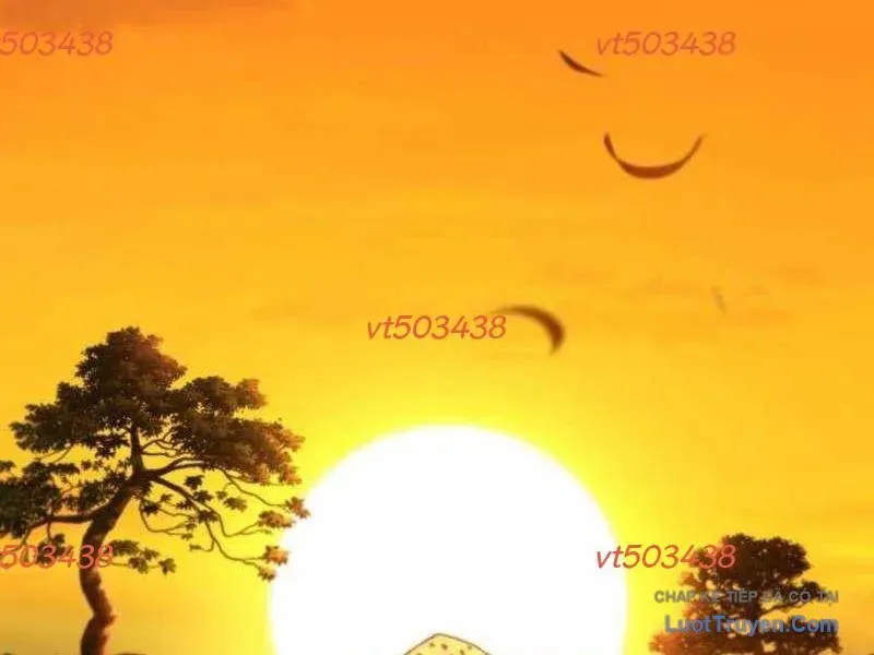 duong-chuyen-dac-biet-cua-tien-ve-thien-tai-10