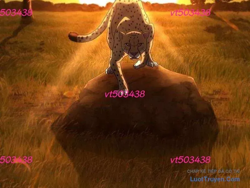 duong-chuyen-dac-biet-cua-tien-ve-thien-tai-11