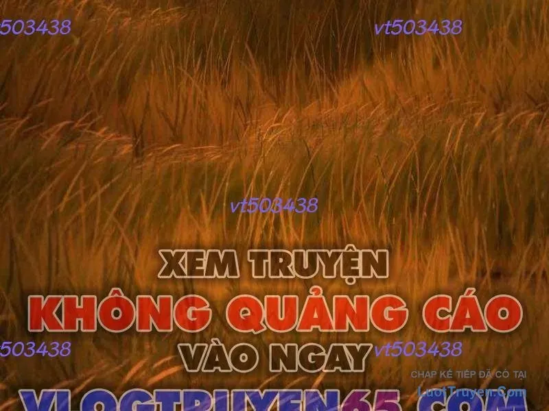 duong-chuyen-dac-biet-cua-tien-ve-thien-tai-12