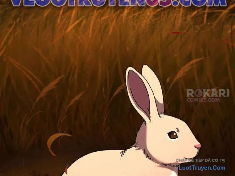 duong-chuyen-dac-biet-cua-tien-ve-thien-tai-13