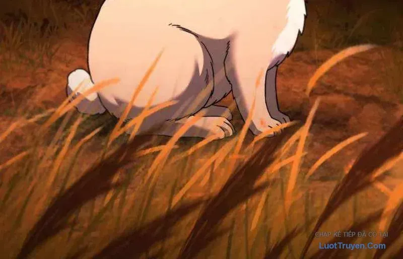 duong-chuyen-dac-biet-cua-tien-ve-thien-tai-14