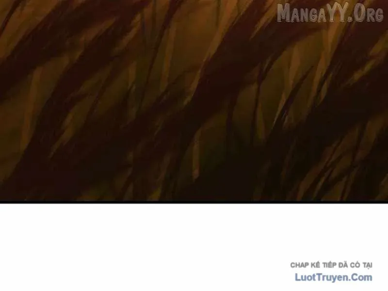 duong-chuyen-dac-biet-cua-tien-ve-thien-tai-15