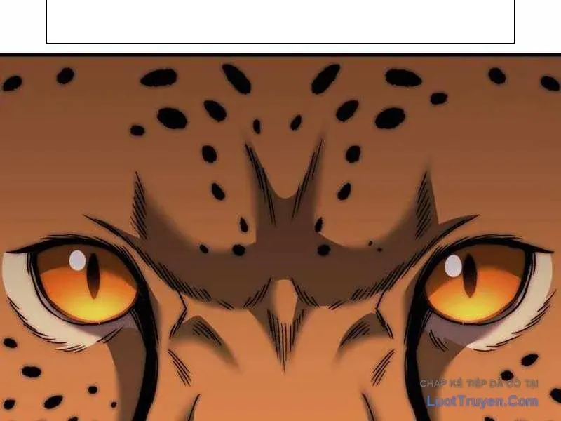 duong-chuyen-dac-biet-cua-tien-ve-thien-tai-17