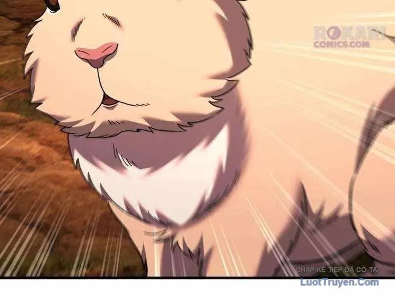 duong-chuyen-dac-biet-cua-tien-ve-thien-tai-21