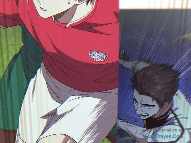 duong-chuyen-dac-biet-cua-tien-ve-thien-tai-233