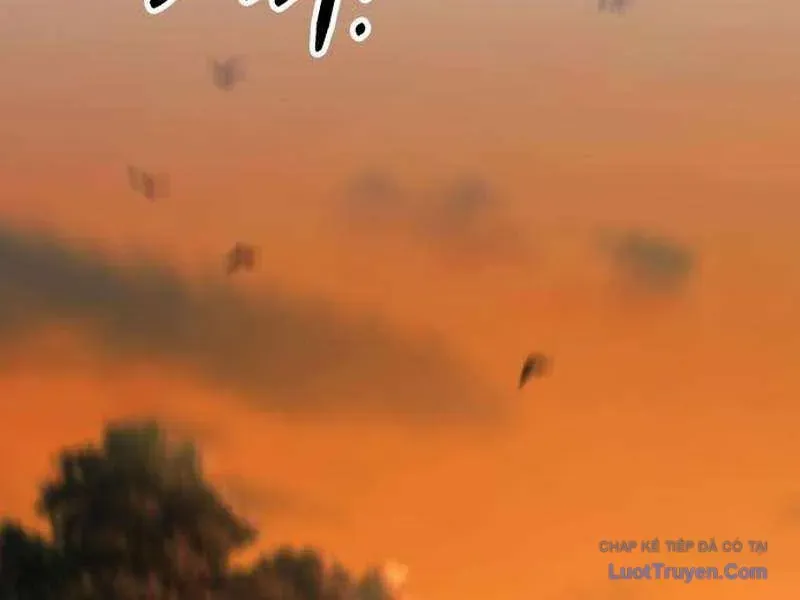 duong-chuyen-dac-biet-cua-tien-ve-thien-tai-24