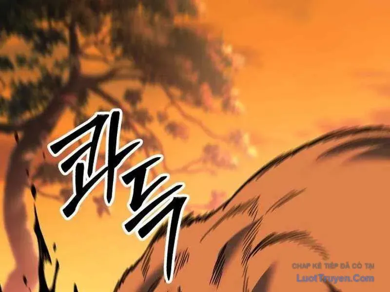 duong-chuyen-dac-biet-cua-tien-ve-thien-tai-25