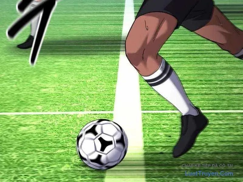 duong-chuyen-dac-biet-cua-tien-ve-thien-tai-33