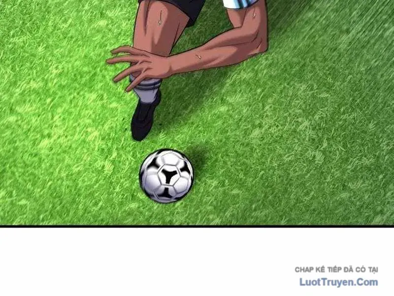 duong-chuyen-dac-biet-cua-tien-ve-thien-tai-37