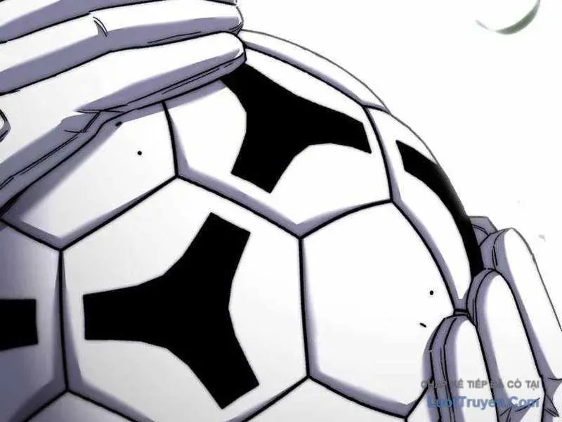 duong-chuyen-dac-biet-cua-tien-ve-thien-tai-88