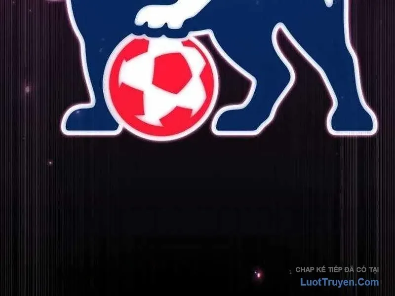 duong-chuyen-dac-biet-cua-tien-ve-thien-tai-243