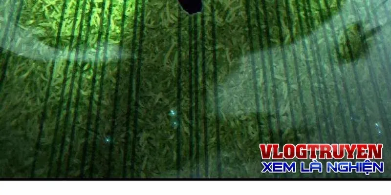 duong-chuyen-dac-biet-cua-tien-ve-thien-tai-356