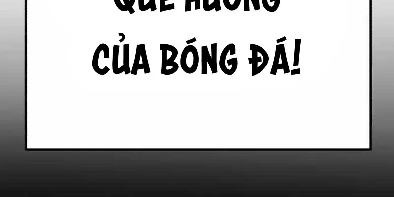 duong-chuyen-dac-biet-cua-tien-ve-thien-tai-406