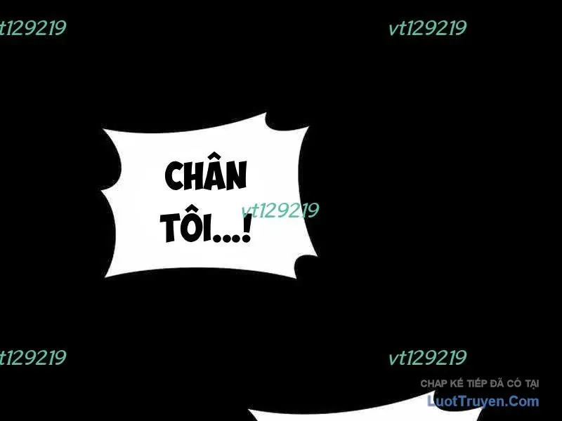 duong-chuyen-dac-biet-cua-tien-ve-thien-tai-411