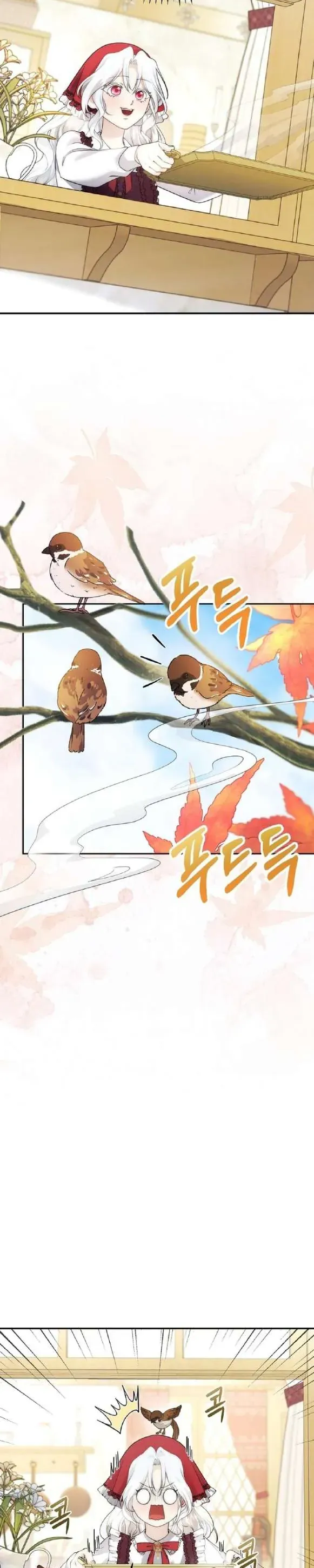 Tiểu Thư Út Của Gia Tộc Công Tước Phương Bắc Bị Lỗi Thiết Lập Rồi Chap 11 - Next Chap 12