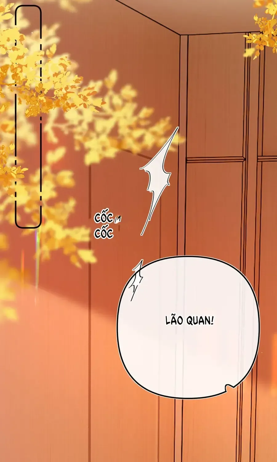 thinh-da-loan-chieu-24