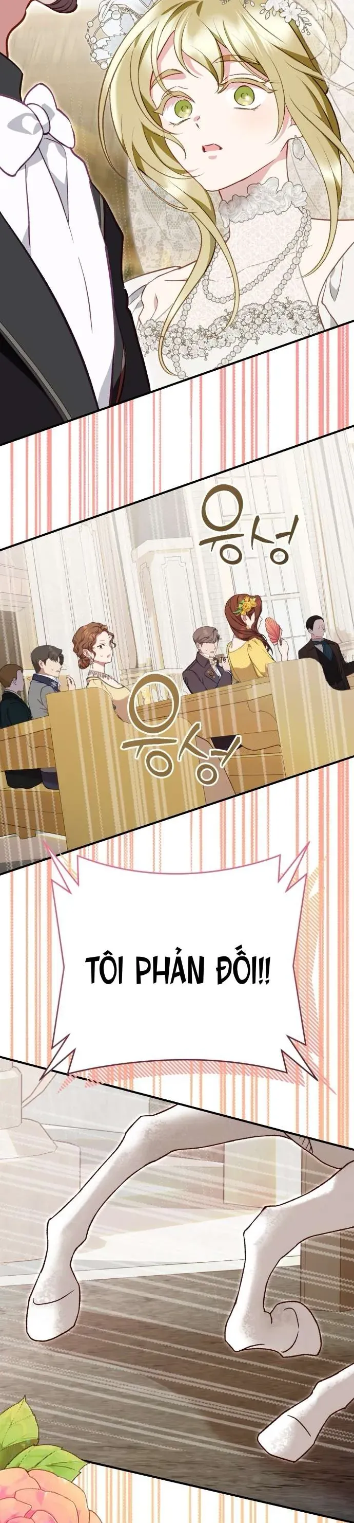 bao-ve-thanh-nu-gia-mao-32