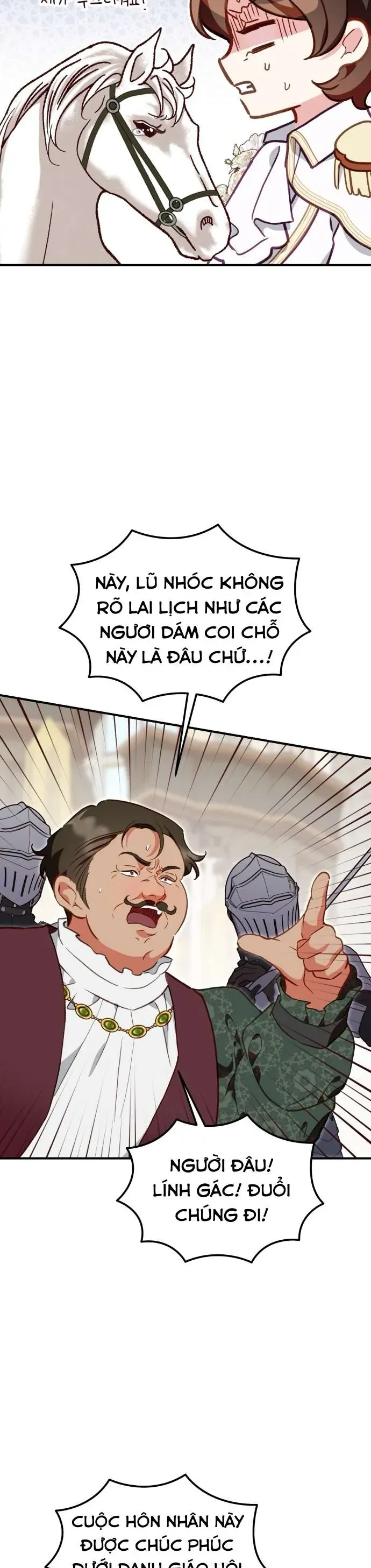 bao-ve-thanh-nu-gia-mao-37